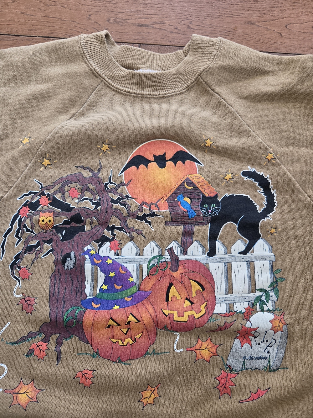 Vintage Crewneck Sweatshirt with Halloween Pumpkin & Black Cat Graphic